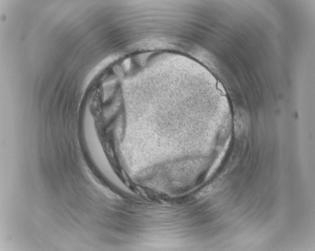 X0000069830438200606161944