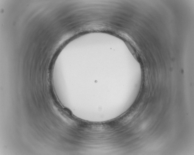 X0000069830439200606161944