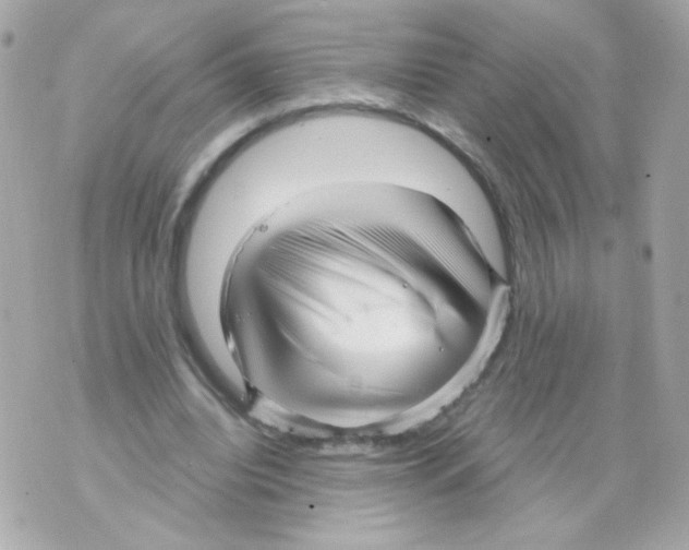 X0000069830440200606161944