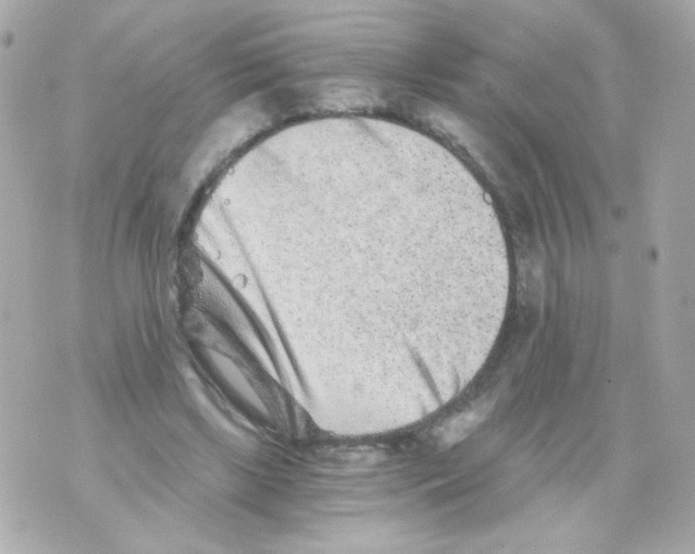 X0000069830443200606161944