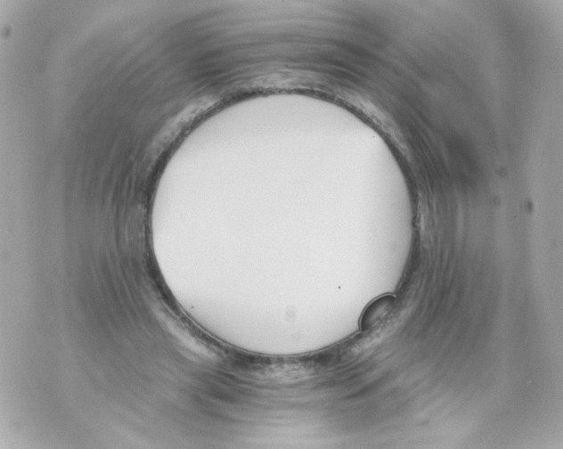 X0000069830445200606161944