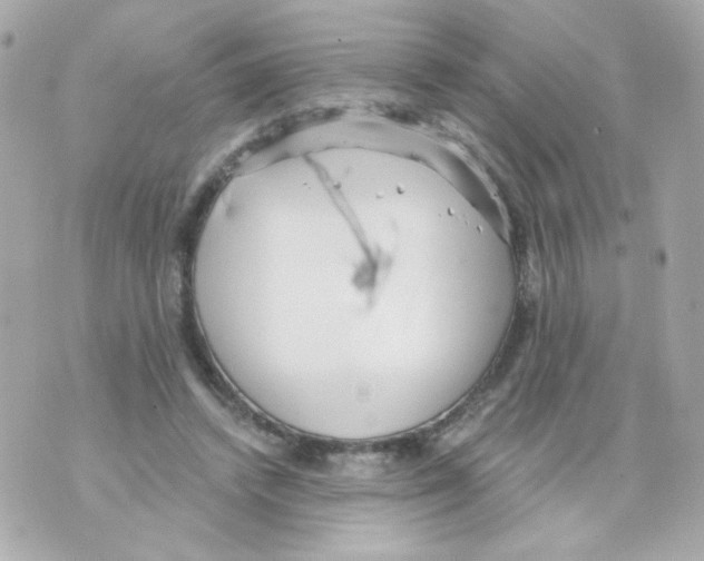 X0000069830448200606161944