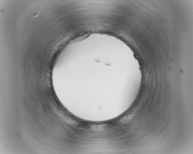 X0000069830450200606161944