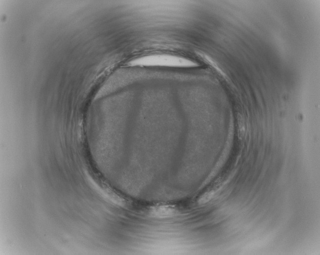 X0000069830451200606161944