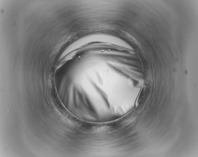 X0000069830452200606161944