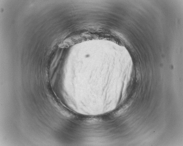 X0000069830453200606161944