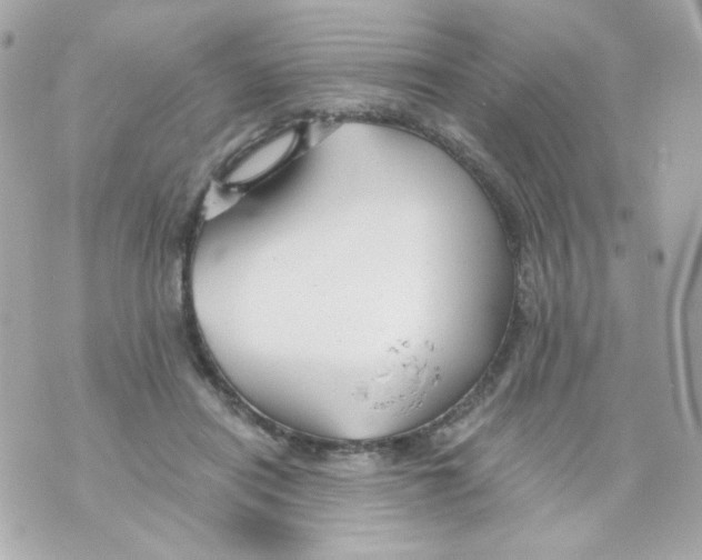 X0000069830454200606161944