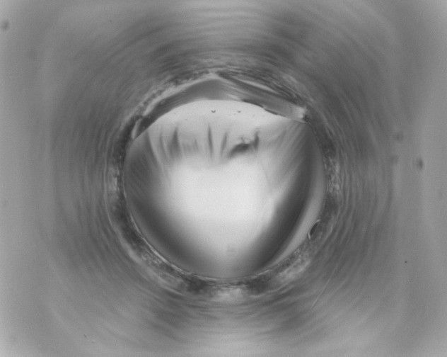 X0000069830456200606161944