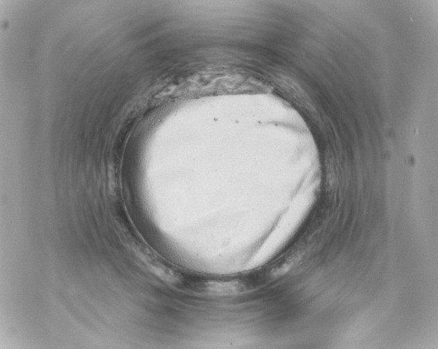 X0000069830457200606161945