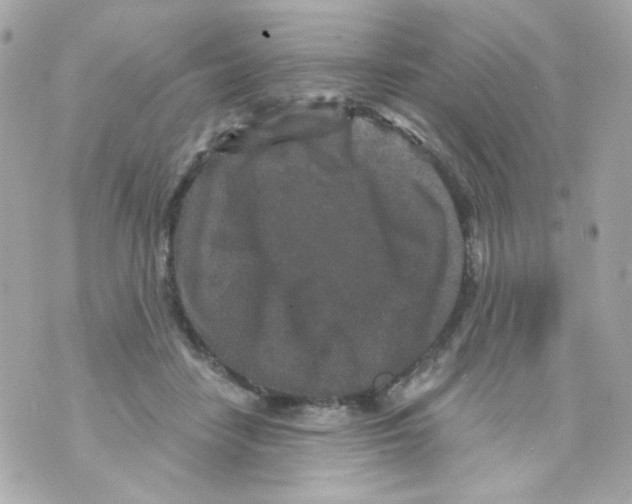 X0000069830458200606161945