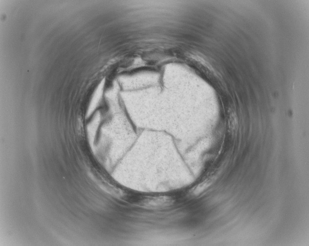 X0000069830459200606161945