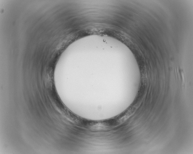 X0000069830460200606161945