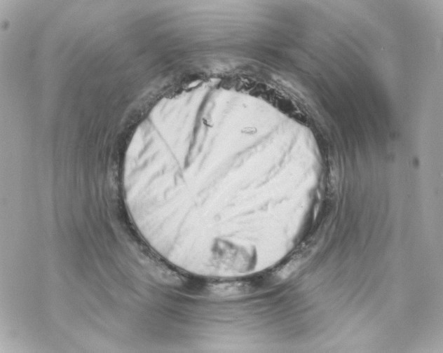 X0000069830461200606161945