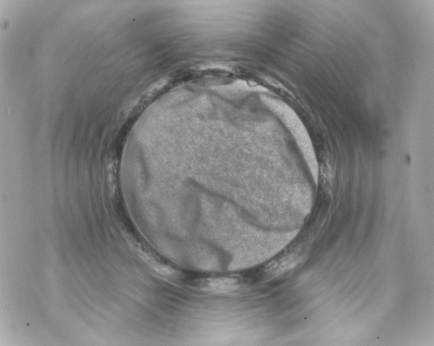 X0000069830462200606161945