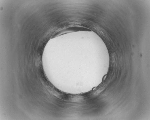 X0000069830463200606161945