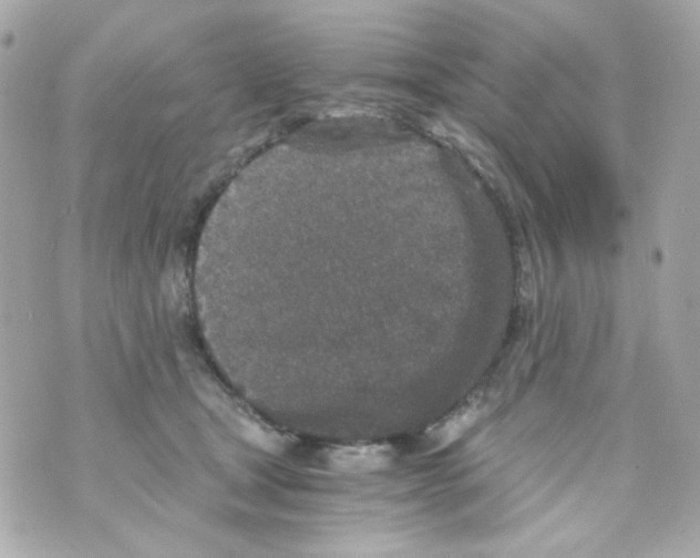 X0000069830465200606161945