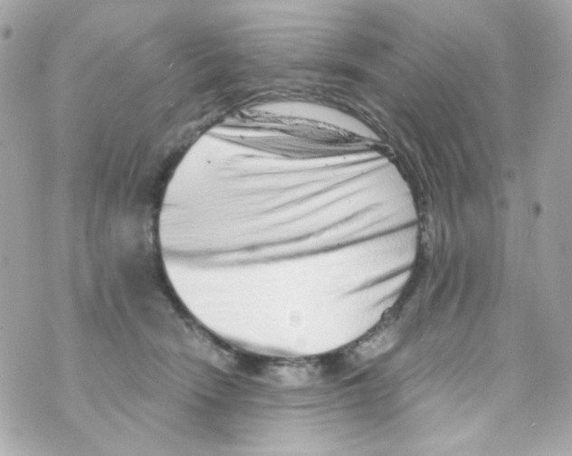 X0000069830466200606161945