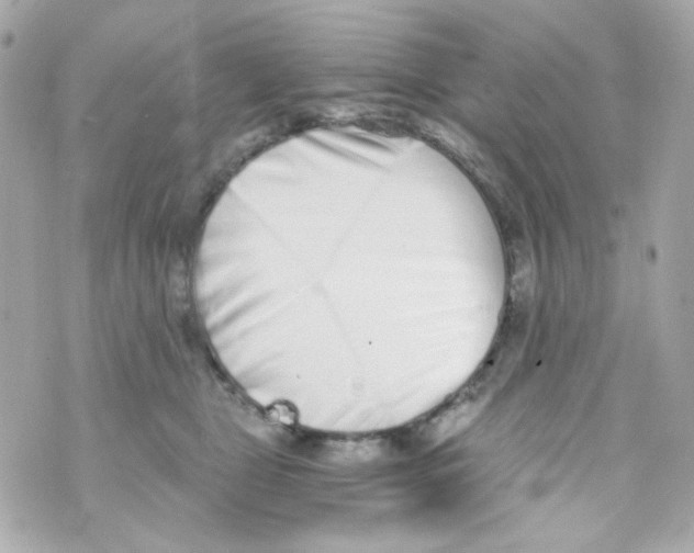 X0000069830469200606161945