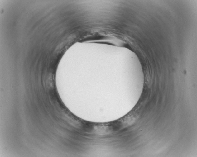 X0000069830470200606161945