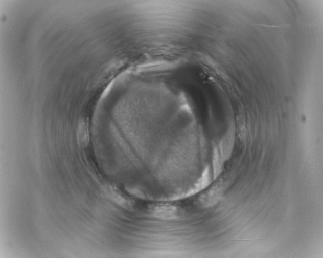 X0000069830471200606161945