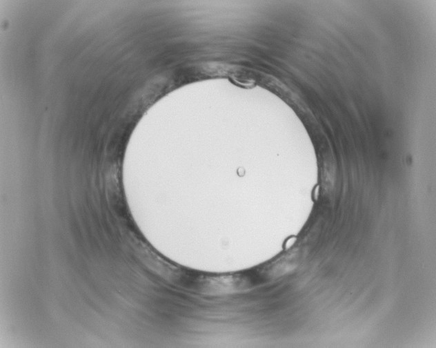 X0000069830473200606161945