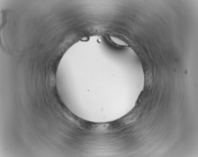 X0000069830474200606161945