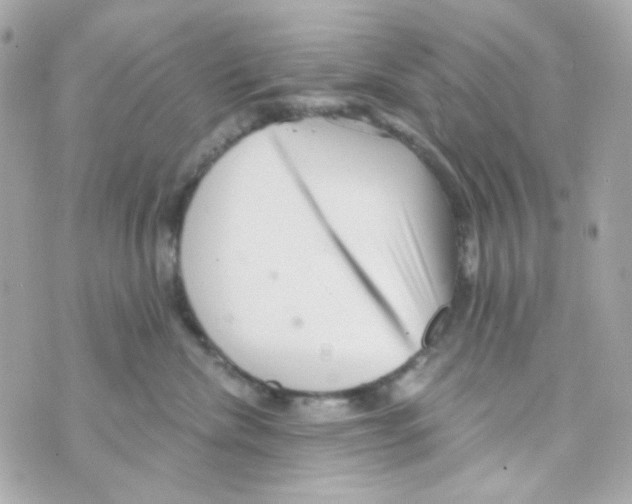 X0000069830476200606161945