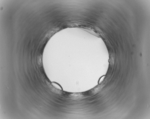 X0000069830477200606161945