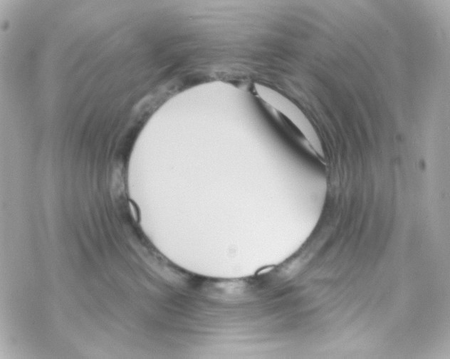 X0000069830478200606161945