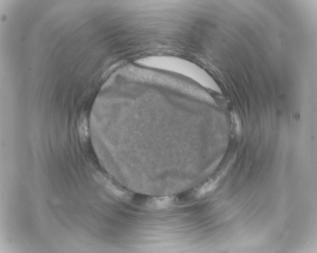 X0000069830479200606161945