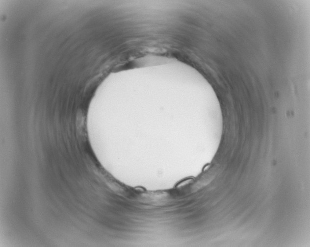 X0000069830480200606161945