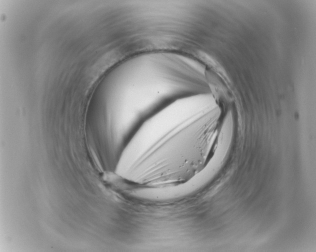 X0000069830481200606161944