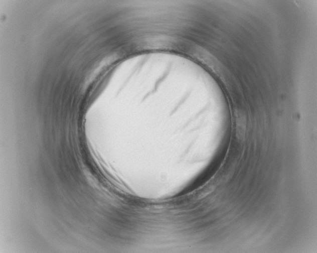 X0000069830482200606161944