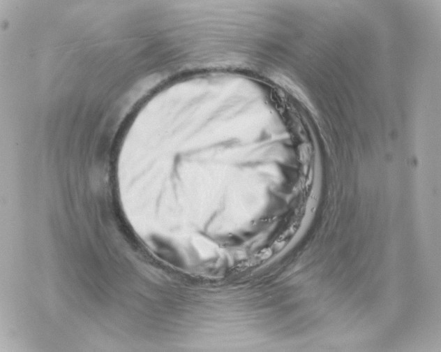 X0000069830483200606161944