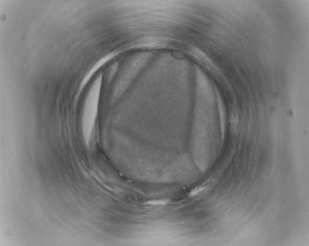 X0000069830484200606161944