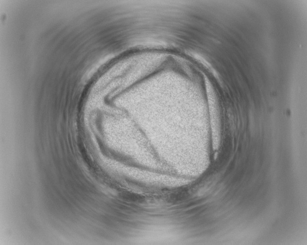 X0000069830487200606161944