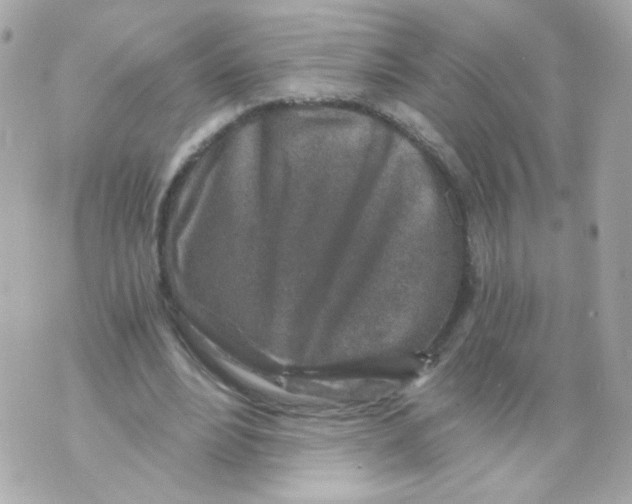 X0000069830488200606161944