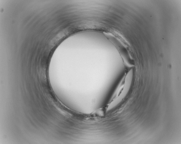 X0000069830489200606161944