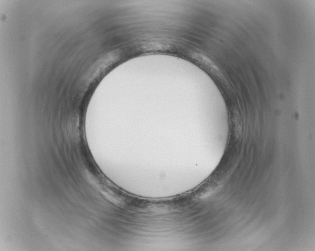 X0000069830490200606161944