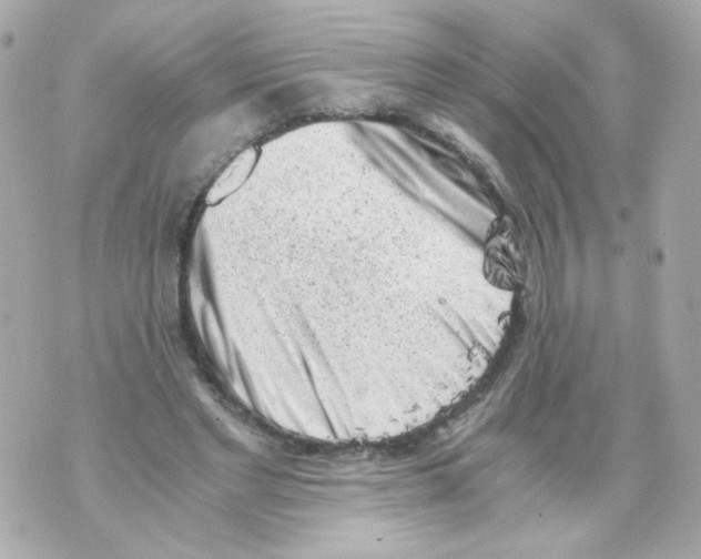 X0000069830493200606161944