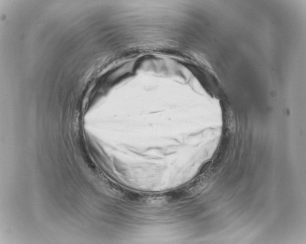 X0000069830495200606161944