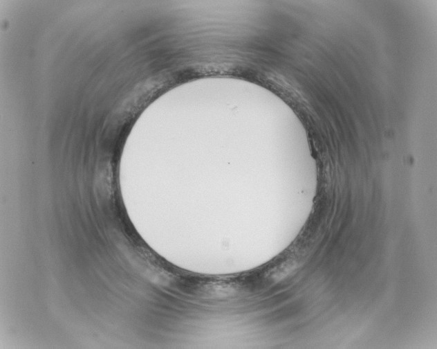 X0000069830498200606161944