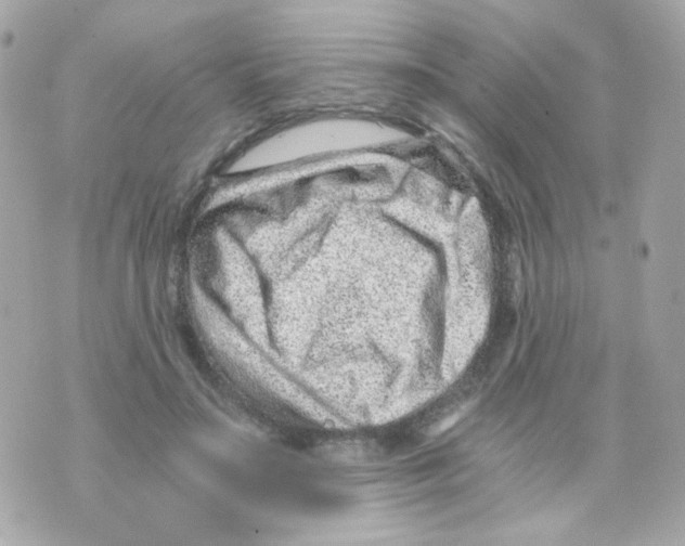 X0000069830499200606161944