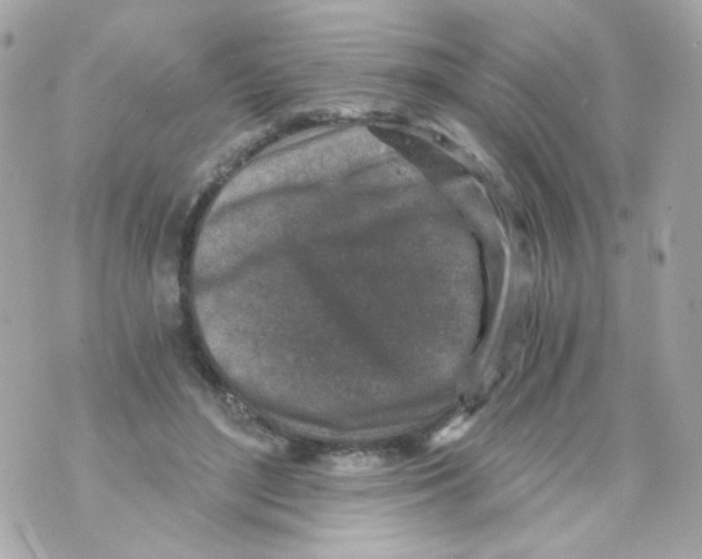 X0000069830500200606161944