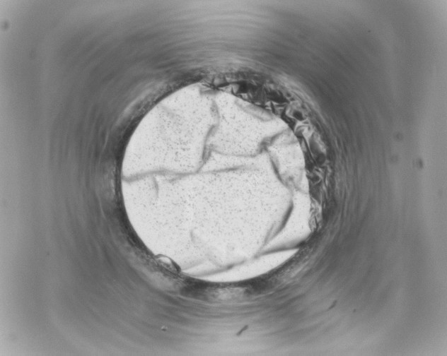 X0000069830501200606161944