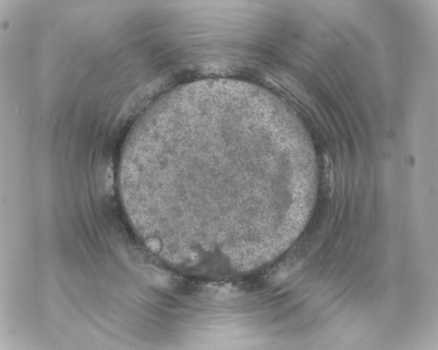 X0000069830502200606161944