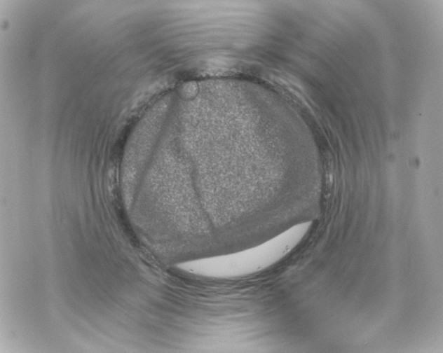 X0000069830503200606161944