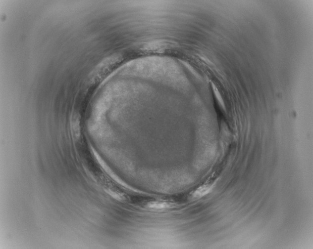 X0000069830504200606161944