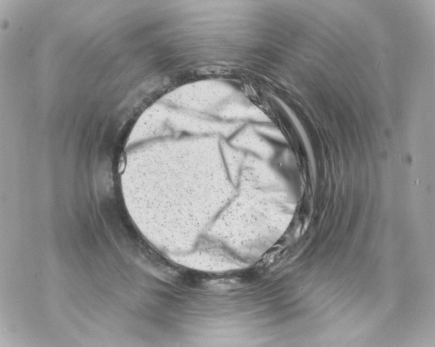 X0000069830508200606161944