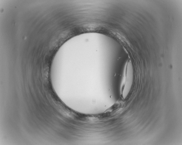 X0000069830509200606161944